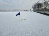 Sneeuwlaag bedekt sportpark 'Het Springer' (16/37)